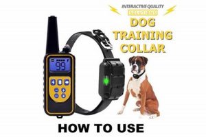 Quickly Turn Off Dog Training Collars: Simple Guide My Caring Dog – Tips, Stories, and Care Guides for Loving Pet Owners Quickly Turn Off Dog Training Collars: Simple Guide | My Caring Dog – Tips, Stories, and Care Guides for Loving Pet Owners