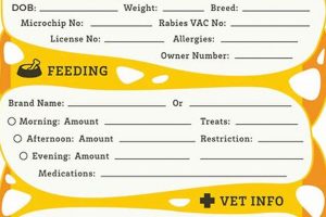 Car Dog Info Sheet: Essential Guide & Template My Caring Dog – Tips, Stories, and Care Guides for Loving Pet Owners Car Dog Info Sheet: Essential Guide & Template | My Caring Dog – Tips, Stories, and Care Guides for Loving Pet Owners