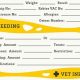Car Dog Info Sheet: Essential Guide & Template | My Caring Dog – Tips, Stories, and Care Guides for Loving Pet Owners