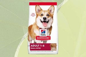 Dry Dog Food In Hot Car | My Caring Dog – Tips, Stories, and Care Guides for Loving Pet Owners