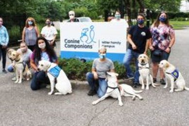 Best Canine Companions Medford: Your Car Dog's Friend My Caring Dog – Tips, Stories, and Care Guides for Loving Pet Owners Best Canine Companions Medford: Your Car Dog's Friend | My Caring Dog – Tips, Stories, and Care Guides for Loving Pet Owners