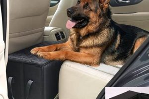 Best Dog Car Seats for Captain's Chairs: Safe & Secure | My Caring Dog – Tips, Stories, and Care Guides for Loving Pet Owners