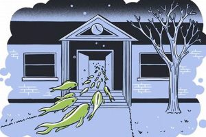 Ultimate Connections Companion for Car Dog Lovers | My Caring Dog – Tips, Stories, and Care Guides for Loving Pet Owners