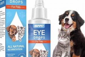 Best Pet Eye Care Dog Drops: A Guide | My Caring Dog – Tips, Stories, and Care Guides for Loving Pet Owners