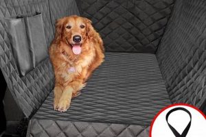 Heavy Duty Dog Car Seat Cover | My Caring Dog – Tips, Stories, and Care Guides for Loving Pet Owners