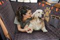 Best Dog Car Seat Covers for Captain's Chairs My Caring Dog – Tips, Stories, and Care Guides for Loving Pet Owners Best Dog Car Seat Covers for Captain's Chairs | My Caring Dog – Tips, Stories, and Care Guides for Loving Pet Owners