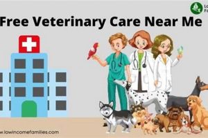 Find Free/Low-Cost Vet Care for Dogs Near You My Caring Dog – Tips, Stories, and Care Guides for Loving Pet Owners Find Free/Low-Cost Vet Care for Dogs Near You | My Caring Dog – Tips, Stories, and Care Guides for Loving Pet Owners