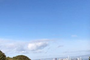 Learn to Care for a Virtual Dog: A Guide My Caring Dog – Tips, Stories, and Care Guides for Loving Pet Owners Learn to Care for a Virtual Dog: A Guide | My Caring Dog – Tips, Stories, and Care Guides for Loving Pet Owners