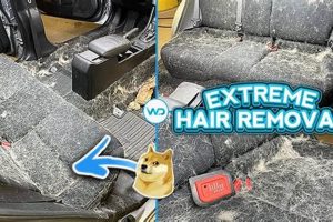 Rid Car of Dog Hair: Best Tips &amp; Tricks | My Caring Dog – Tips, Stories, and Care Guides for Loving Pet Owners
