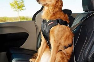 Best Dog Car Harnesses: Safe & Secure Travel | My Caring Dog – Tips, Stories, and Care Guides for Loving Pet Owners