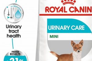 Best Urinary Care Dog Food for UT Health My Caring Dog – Tips, Stories, and Care Guides for Loving Pet Owners Best Urinary Care Dog Food for UT Health | My Caring Dog – Tips, Stories, and Care Guides for Loving Pet Owners