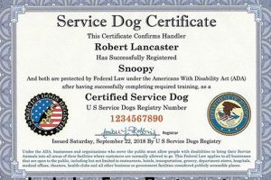 International Service Dog Certification My Caring Dog – Tips, Stories, and Care Guides for Loving Pet Owners International Service Dog Certification | My Caring Dog – Tips, Stories, and Care Guides for Loving Pet Owners