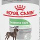 Best Wet Digestive Care Dog Food for Sensitive Stomachs | My Caring Dog – Tips, Stories, and Care Guides for Loving Pet Owners