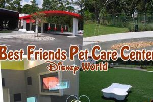 Ultimate Dog Care Guide at Disney World 2024 | My Caring Dog – Tips, Stories, and Care Guides for Loving Pet Owners
