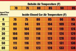Dog Car Temperature Chart: Dangers & Safety Tips My Caring Dog – Tips, Stories, and Care Guides for Loving Pet Owners Dog Car Temperature Chart: Dangers & Safety Tips | My Caring Dog – Tips, Stories, and Care Guides for Loving Pet Owners
