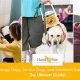 Understanding Support Dogs: A Complete Guide | My Caring Dog – Tips, Stories, and Care Guides for Loving Pet Owners
