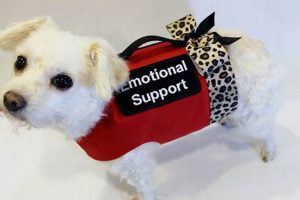 Trained Emotional Support Dog For Sale My Caring Dog – Tips, Stories, and Care Guides for Loving Pet Owners Trained Emotional Support Dog For Sale | My Caring Dog – Tips, Stories, and Care Guides for Loving Pet Owners