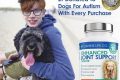 Best Canine and Co. Accessories for Car Dogs My Caring Dog – Tips, Stories, and Care Guides for Loving Pet Owners Best Canine and Co. Accessories for Car Dogs | My Caring Dog – Tips, Stories, and Care Guides for Loving Pet Owners