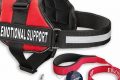 Get Your Free Emotional Support Dog Vest Today! My Caring Dog – Tips, Stories, and Care Guides for Loving Pet Owners Get Your Free Emotional Support Dog Vest Today! | My Caring Dog – Tips, Stories, and Care Guides for Loving Pet Owners