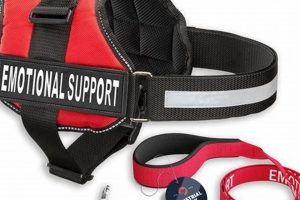 Get Your Free Emotional Support Dog Vest Today! My Caring Dog – Tips, Stories, and Care Guides for Loving Pet Owners Get Your Free Emotional Support Dog Vest Today! | My Caring Dog – Tips, Stories, and Care Guides for Loving Pet Owners