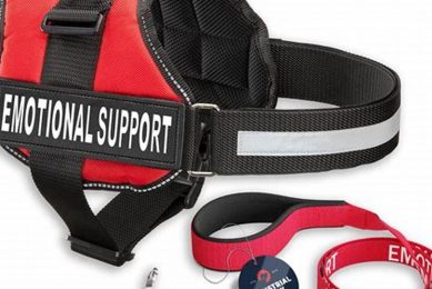 Get Your Free Emotional Support Dog Vest Today! My Caring Dog – Tips, Stories, and Care Guides for Loving Pet Owners Get Your Free Emotional Support Dog Vest Today! | My Caring Dog – Tips, Stories, and Care Guides for Loving Pet Owners