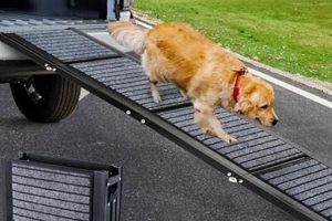 Top Dog Car Ramps for Labradors: Safe & Easy Access My Caring Dog – Tips, Stories, and Care Guides for Loving Pet Owners Top Dog Car Ramps for Labradors: Safe & Easy Access | My Caring Dog – Tips, Stories, and Care Guides for Loving Pet Owners