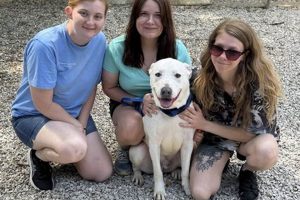 C.A.R.E. Animal Shelter: Adopt, Don't Shop My Caring Dog – Tips, Stories, and Care Guides for Loving Pet Owners C.A.R.E. Animal Shelter: Adopt, Don't Shop | My Caring Dog – Tips, Stories, and Care Guides for Loving Pet Owners