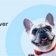 Top Dogsy UK Car Accessories &amp; Travel | My Caring Dog – Tips, Stories, and Care Guides for Loving Pet Owners