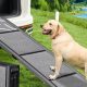 Best Dog Car Ramps on Amazon: 2023 Buyer's Guide | My Caring Dog – Tips, Stories, and Care Guides for Loving Pet Owners