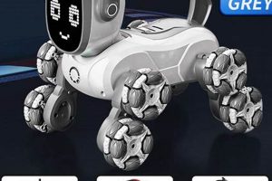 Dog Rc Car My Caring Dog – Tips, Stories, and Care Guides for Loving Pet Owners Dog Rc Car | My Caring Dog – Tips, Stories, and Care Guides for Loving Pet Owners