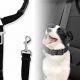Best Dog Seat Belts for Cars: Safe & Secure Travel | My Caring Dog – Tips, Stories, and Care Guides for Loving Pet Owners