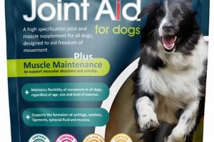 Best Pets at Home Joint Care for Senior Dogs My Caring Dog – Tips, Stories, and Care Guides for Loving Pet Owners Best Pets at Home Joint Care for Senior Dogs | My Caring Dog – Tips, Stories, and Care Guides for Loving Pet Owners
