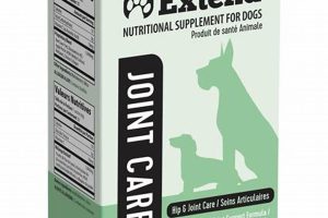 Best Tips to Extend Joint Care for Dogs | My Caring Dog – Tips, Stories, and Care Guides for Loving Pet Owners