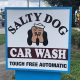 The Salty Dog Car Wash: Best Wash for Your Pup | My Caring Dog – Tips, Stories, and Care Guides for Loving Pet Owners