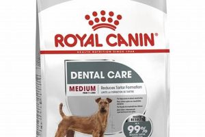 Dog Food For Dental Care My Caring Dog – Tips, Stories, and Care Guides for Loving Pet Owners Dog Food For Dental Care | My Caring Dog – Tips, Stories, and Care Guides for Loving Pet Owners