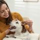 Top-Notch Dog Care Service for Your Furry Friend | My Caring Dog – Tips, Stories, and Care Guides for Loving Pet Owners
