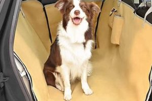 Keep Car Cool For Dog My Caring Dog – Tips, Stories, and Care Guides for Loving Pet Owners Keep Car Cool For Dog | My Caring Dog – Tips, Stories, and Care Guides for Loving Pet Owners