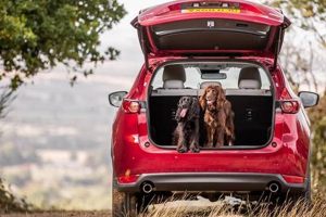 Top 10 Cars for Dog Owners in 2024 | My Caring Dog – Tips, Stories, and Care Guides for Loving Pet Owners