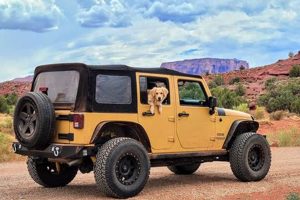 Dog Car Laws California | My Caring Dog – Tips, Stories, and Care Guides for Loving Pet Owners