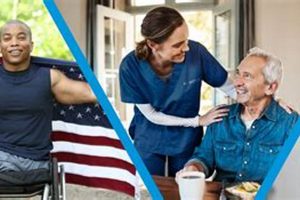 Best Dog Day Care in Farmington Hills, MI | Top Kennels | My Caring Dog – Tips, Stories, and Care Guides for Loving Pet Owners