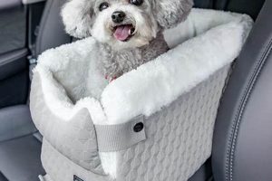 Seat For Dog In Car | My Caring Dog – Tips, Stories, and Care Guides for Loving Pet Owners