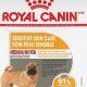 Royal Canin Sensitive Skin Care Dry Dog Food | My Caring Dog – Tips, Stories, and Care Guides for Loving Pet Owners