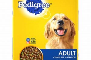 Pet Care Dog Food My Caring Dog – Tips, Stories, and Care Guides for Loving Pet Owners Pet Care Dog Food | My Caring Dog – Tips, Stories, and Care Guides for Loving Pet Owners