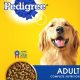 Pet Care Dog Food | My Caring Dog – Tips, Stories, and Care Guides for Loving Pet Owners