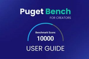 Best Puget Sound Benches for Car & Dog | My Caring Dog – Tips, Stories, and Care Guides for Loving Pet Owners