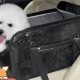 Best Dog Car Seats for 20 lb Dogs: Safe & Secure | My Caring Dog – Tips, Stories, and Care Guides for Loving Pet Owners