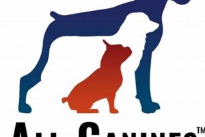 All Canines Llc | My Caring Dog – Tips, Stories, and Care Guides for Loving Pet Owners