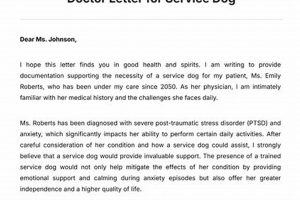 Find Free Service Dogs in Ohio: Assistance & Resources | My Caring Dog – Tips, Stories, and Care Guides for Loving Pet Owners