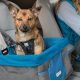 Best Kurgo Dog Car Seats: Safe & Secure Travel | My Caring Dog – Tips, Stories, and Care Guides for Loving Pet Owners