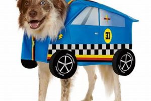 Cool Car Dog Costumes: Drive Your Pup in Style | My Caring Dog – Tips, Stories, and Care Guides for Loving Pet Owners